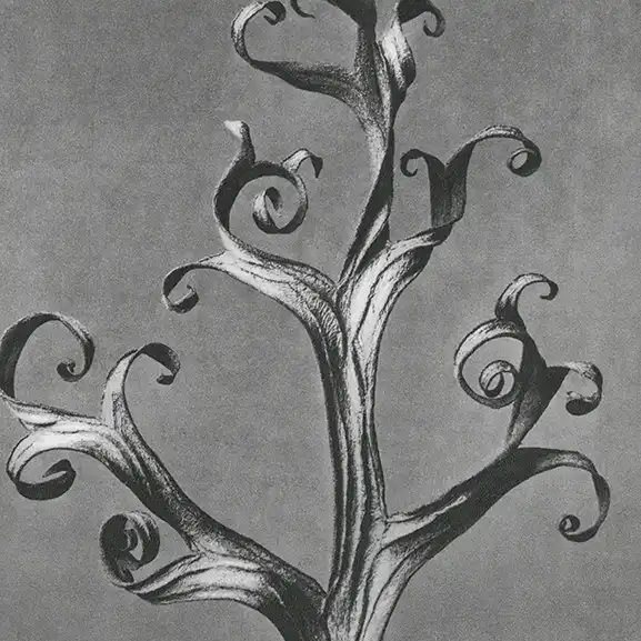 Hình ảnh cho dịch vụ